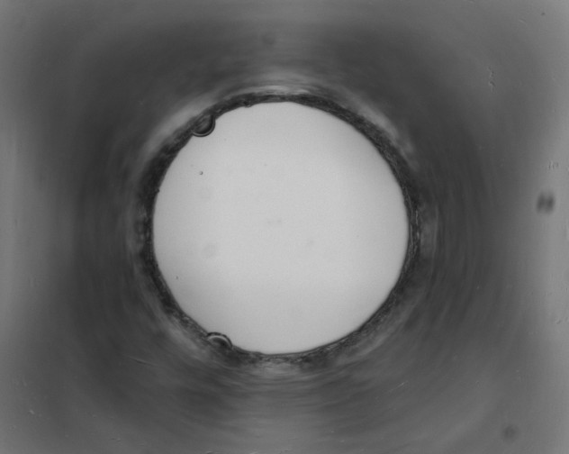 X0000101691448200808071122