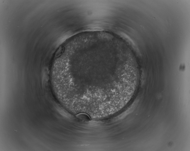 X0000101691449200808071122