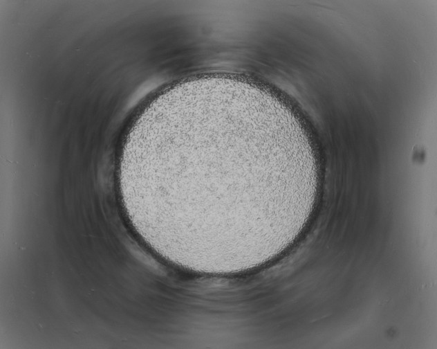 X0000101691450200808071122