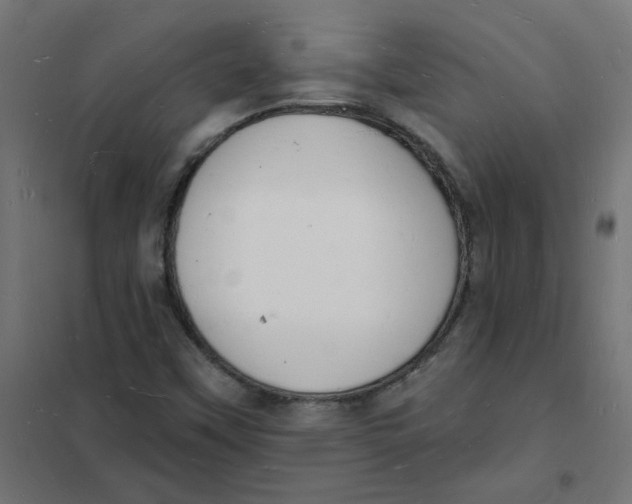 X0000101691451200808071122