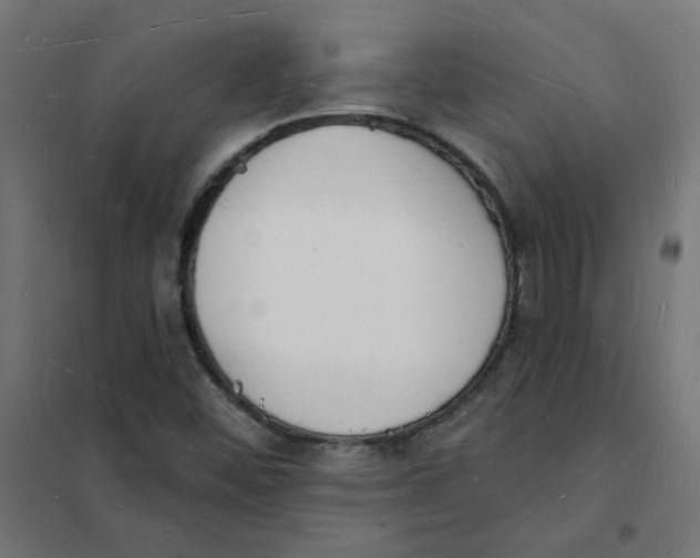 X0000101691452200808071122