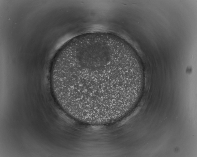 X0000101691453200808071121