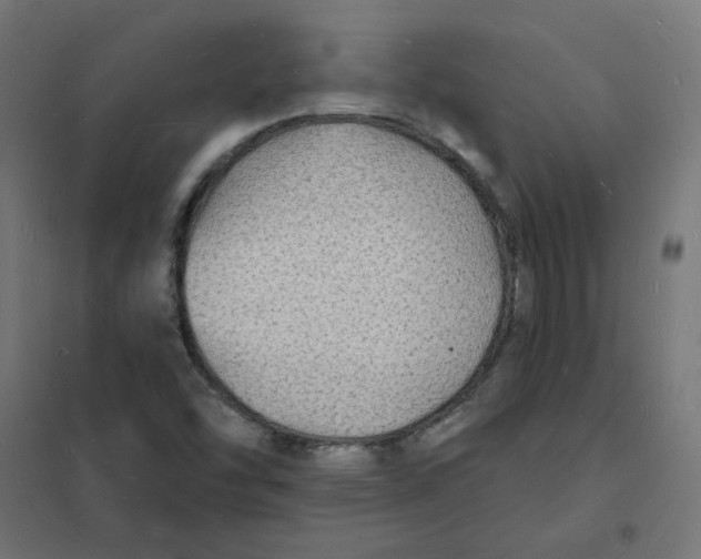 X0000101691454200808071121