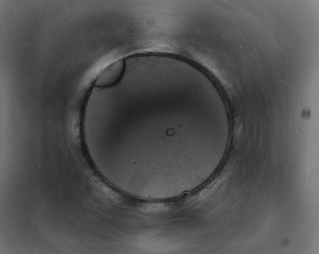 X0000101691455200808071121