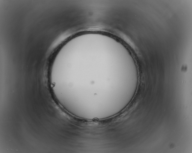 X0000101691456200808071121