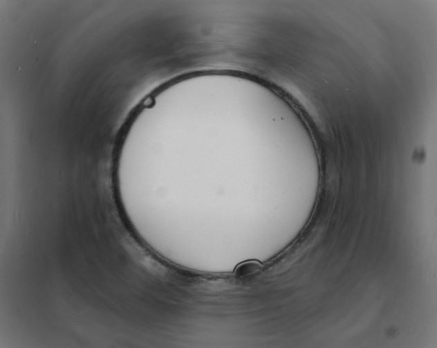 X0000101691460200808071121