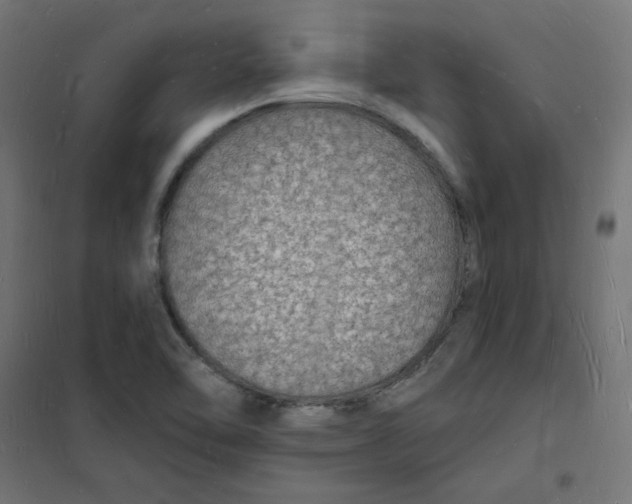 X0000101691462200808071121