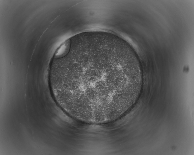 X0000101691463200808071121