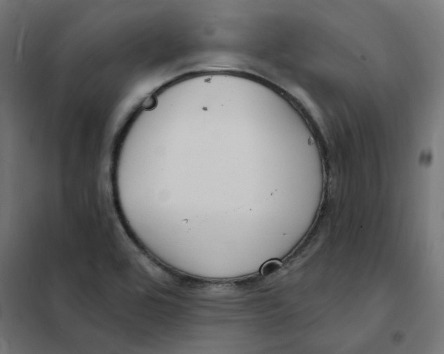 X0000101691464200808071121