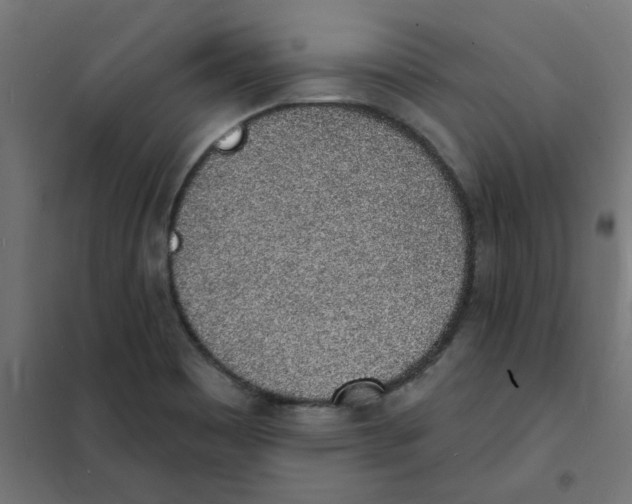 X0000101691465200808071121