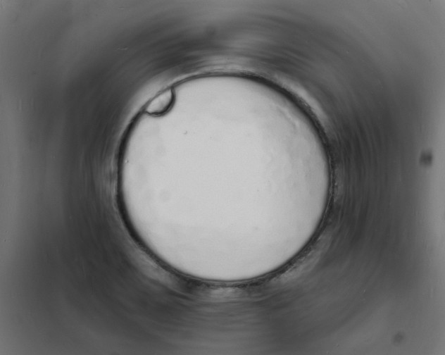 X0000101691467200808071121