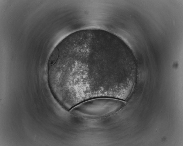 X0000101691468200808071121