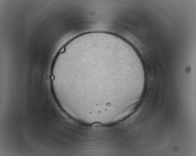 X0000101691469200808071121