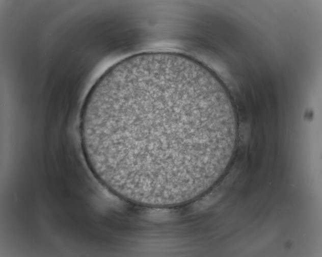 X0000101691470200808071121