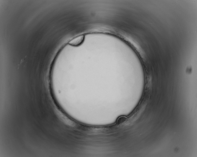 X0000101691471200808071121