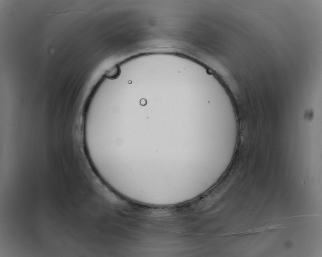 X0000101691472200808071121