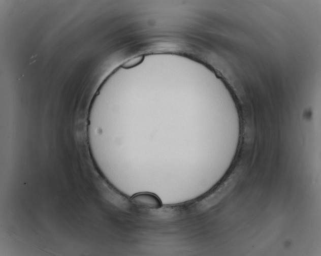 X0000101691473200808071121