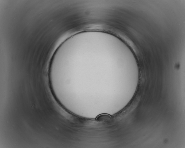 X0000101691475200808071121