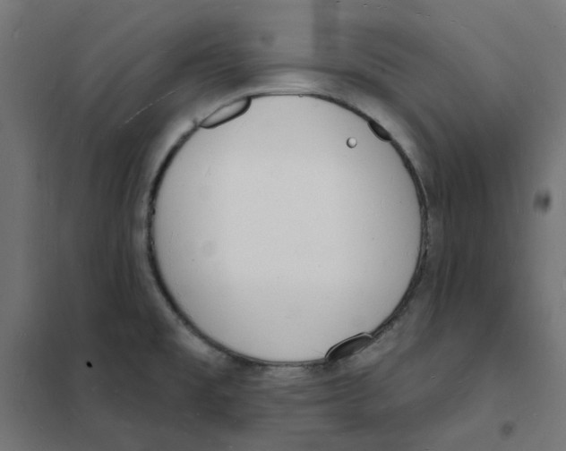 X0000101691477200808071121