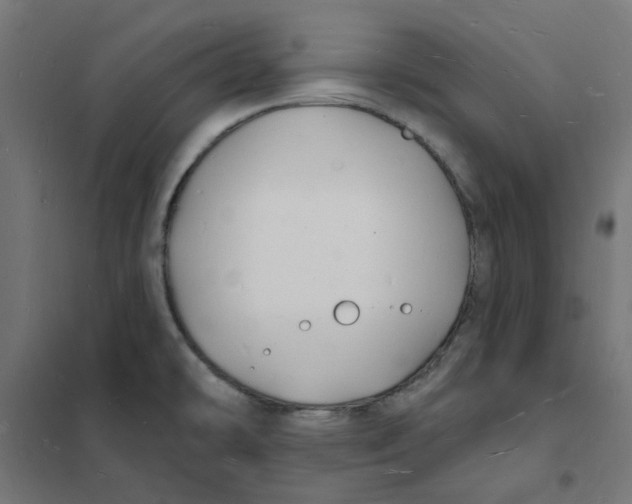 X0000101691478200808071121