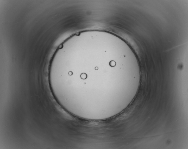 X0000101691480200808071121