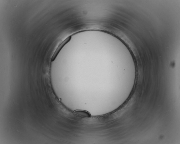 X0000101691481200808071121