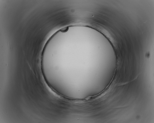 X0000101691484200808071121