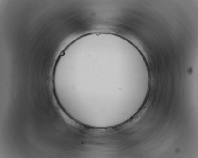 X0000101691485200808071121