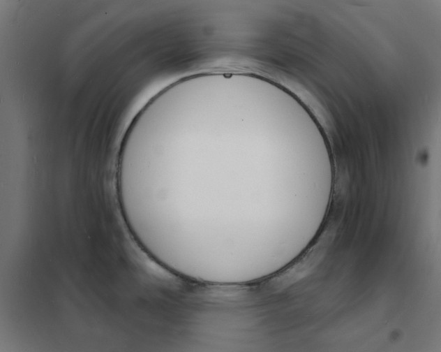 X0000101691486200808071121