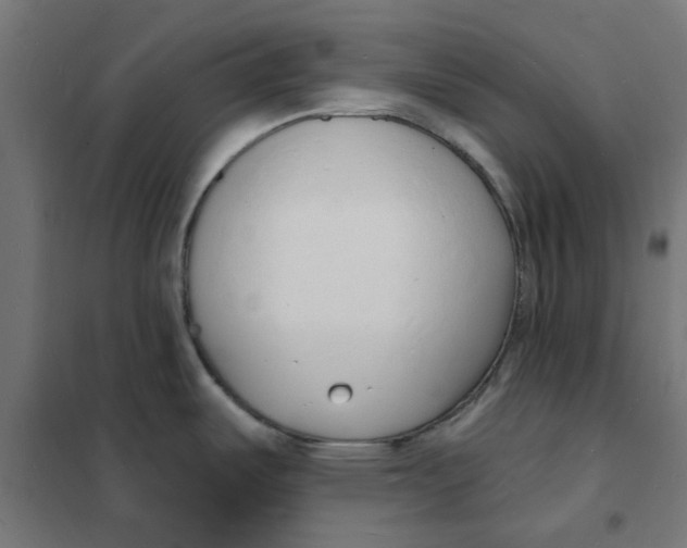 X0000101691487200808071121