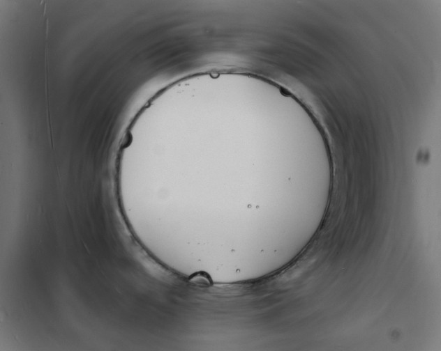 X0000101691488200808071121