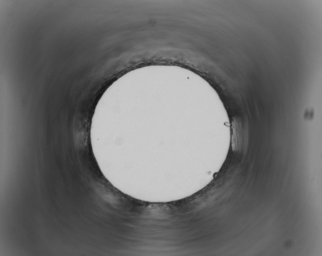 X0000101691491200808071120