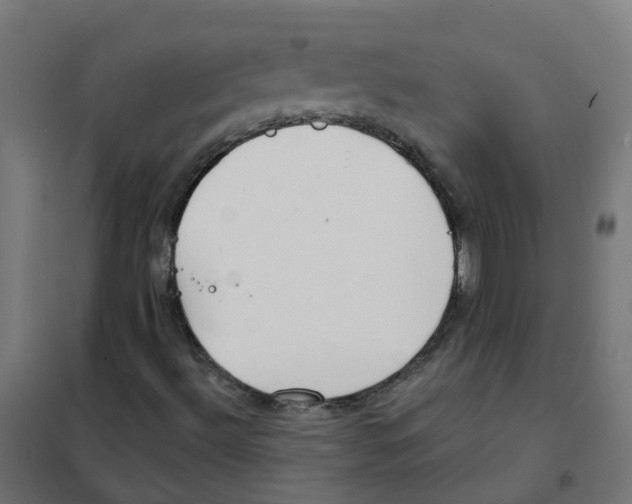 X0000101691492200808071120