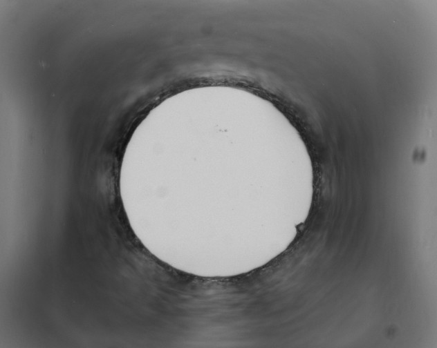 X0000101691493200808071120