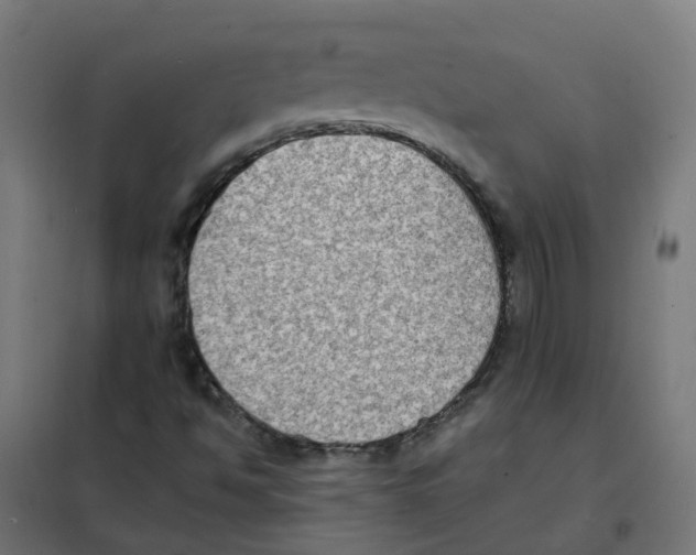 X0000101691494200808071120