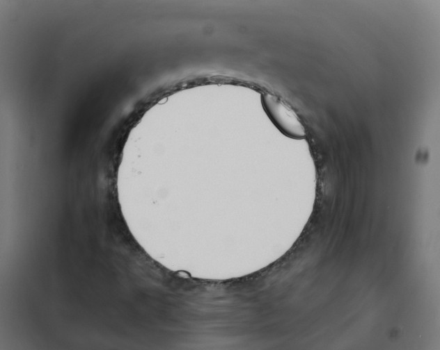 X0000101691495200808071120