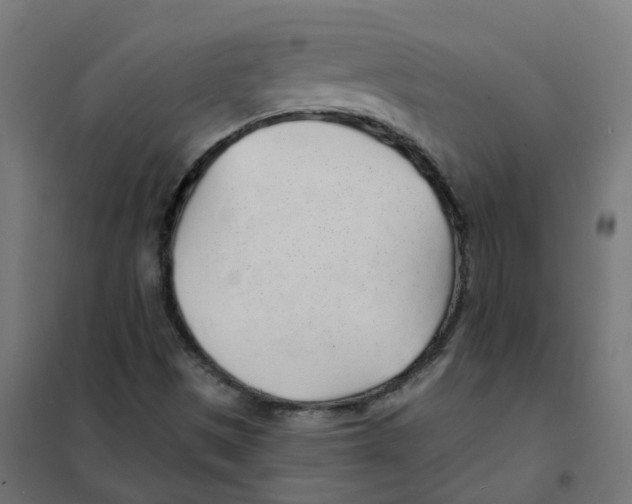 X0000101691497200808071120