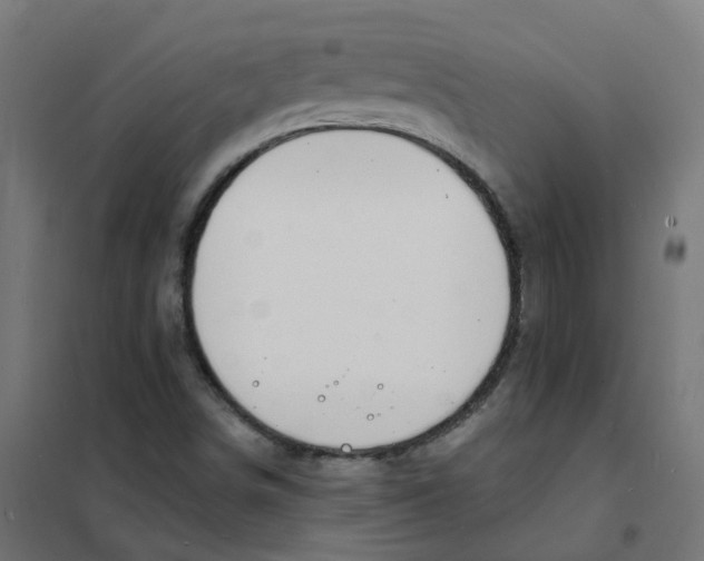 X0000101691498200808071120