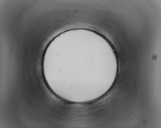 X0000101691500200808071120