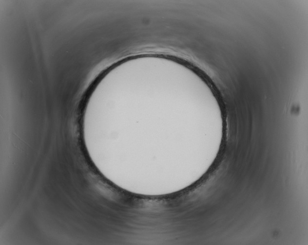 X0000101691501200808071120