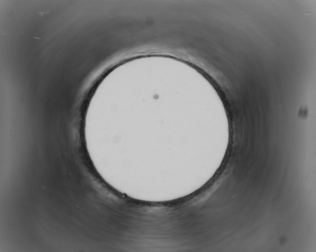 X0000101691502200808071120