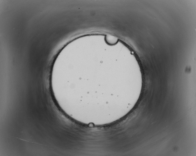 X0000101691504200808071120