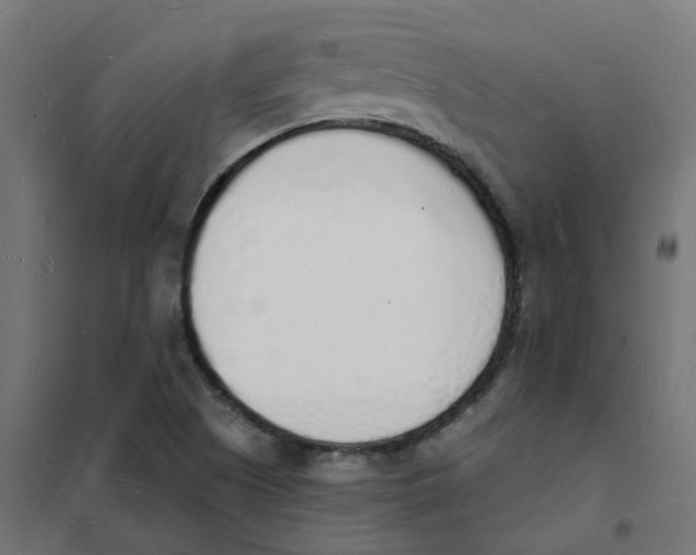 X0000101691505200808071120