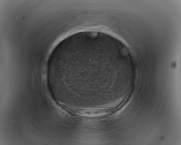 X0000101691506200808071120