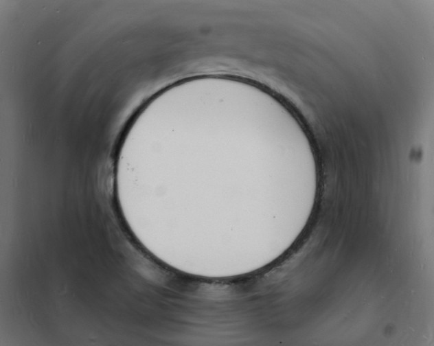 X0000101691509200808071120