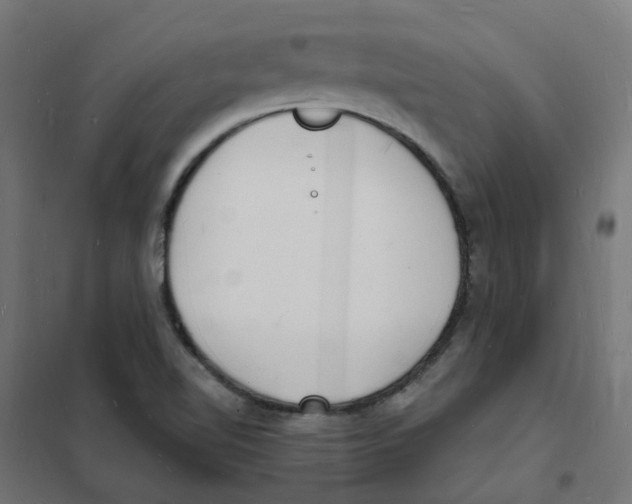 X0000101691510200808071120