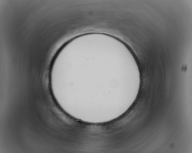 X0000101691511200808071120