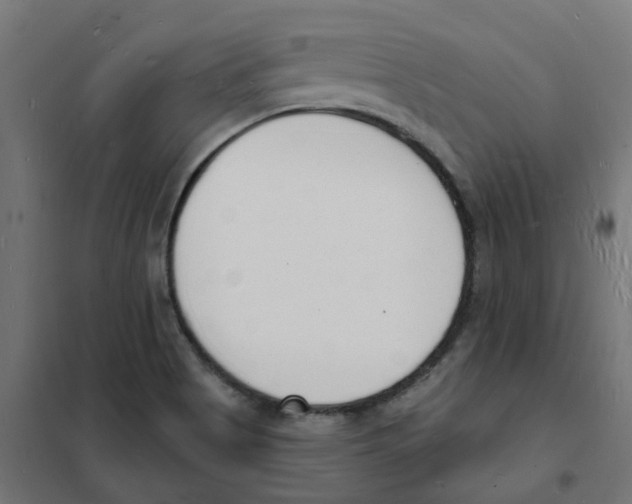 X0000101691513200808071121