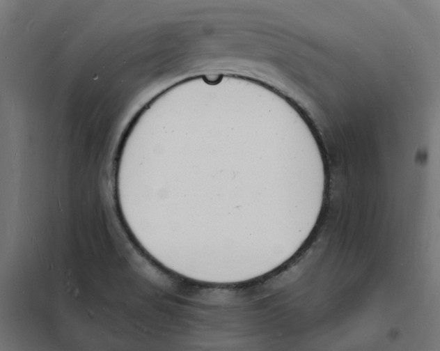 X0000101691517200808071121