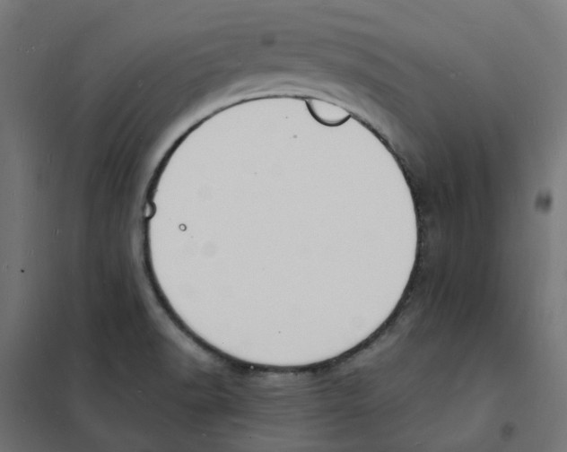 X0000101691518200808071121